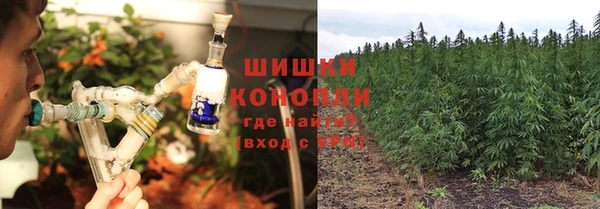 крисы Мегион