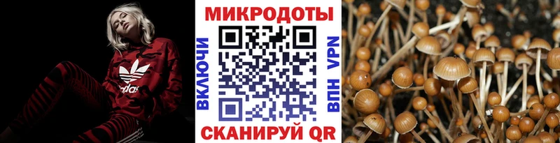 Галлюциногенные грибы прущие грибы  купить наркотики сайты  Петрозаводск 