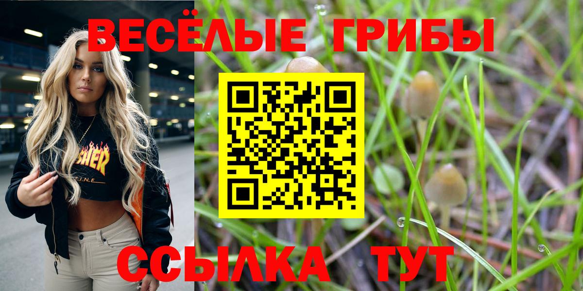Петрозаводск  Галлюциногенные грибы мицелий  Вход с VPN 